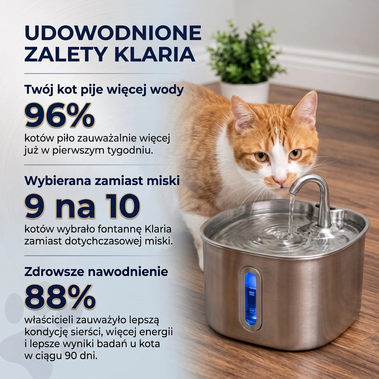 Klaria - funkcjonalna fontanna dla kotów